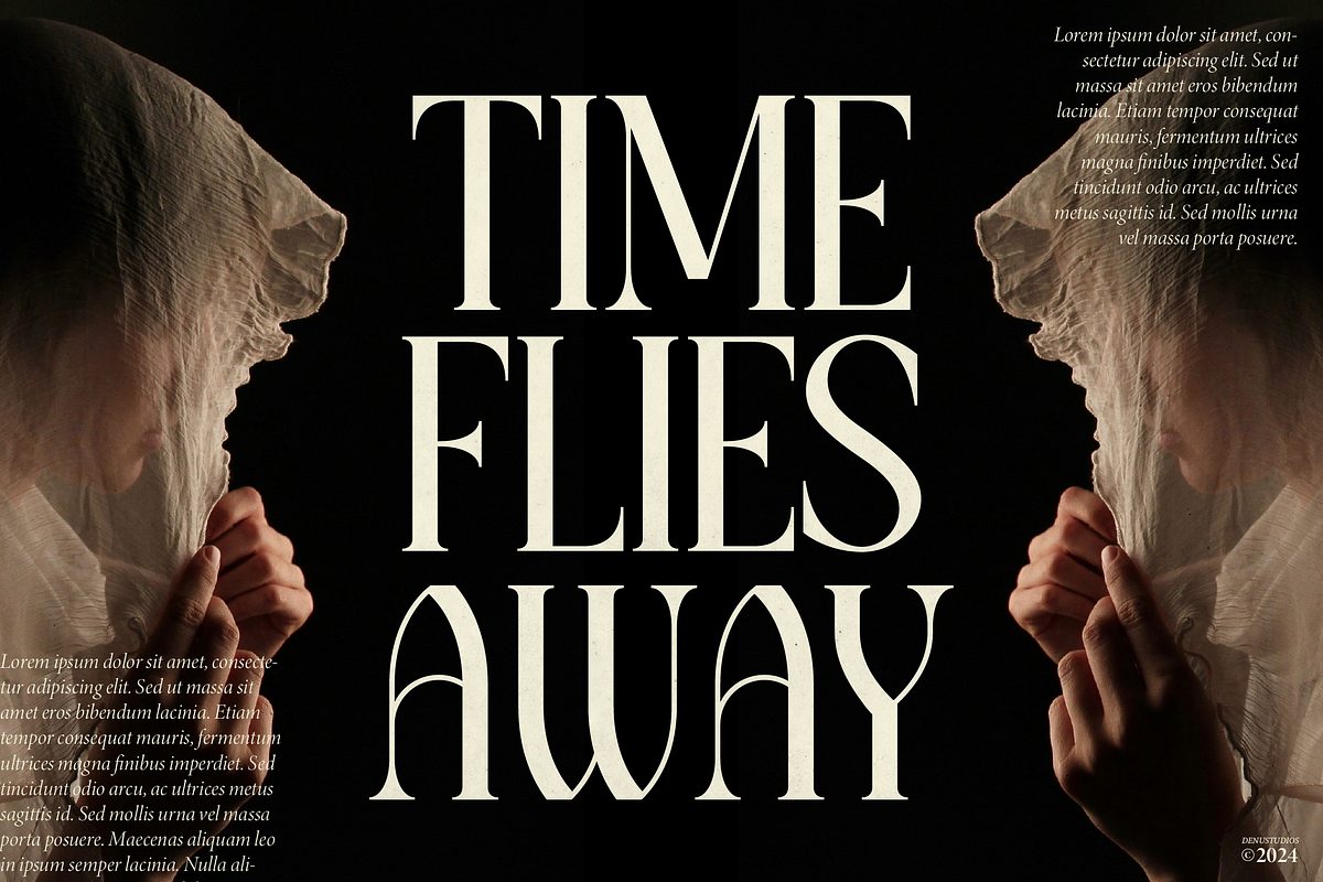 Raxiael | Modern Classic Serif, a Serif Font by Denustudios (Photo 4 of 16)