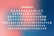 Millik Font, a Serif Font by Bagerich Type Foundry (Thumbnail 6 of 10)