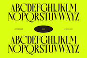 Antique Orchad Hybrid Serif Font, a Serif Font by timelesstype.co (Thumbnail 17 of 20)