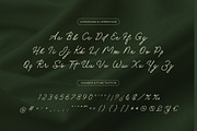Socker — A Handwritten Script Font, a Script Font by Almeera Std (Thumbnail 8 of 10)