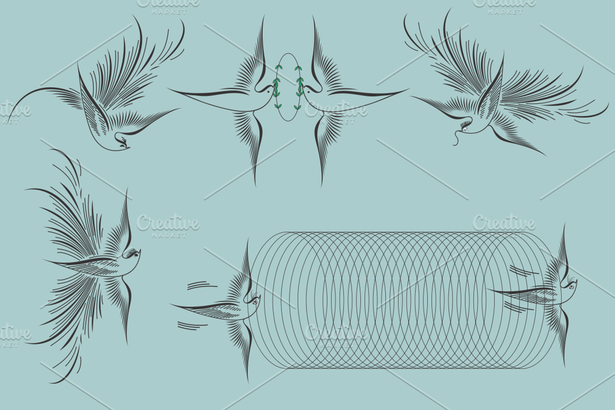 Zanner Birds Vector Collection preview 5