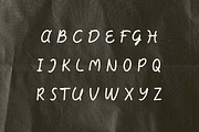 Holiday Regency Retro Script Font, a Handwritten Font by UICreative (Thumbnail 5 of 13)