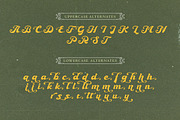 Ebullience font, a Script Font by Allmostudio (Thumbnail 9 of 10)