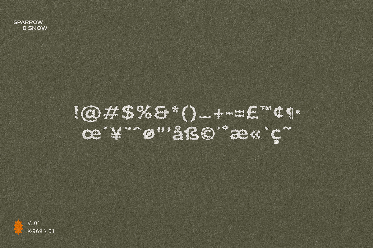 Plateau Font, a Font by Sparrow & Snow (Photo 6 of 15)
