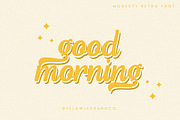 Modesty, a Symbol Font by Flawless And Co (Thumbnail 3 of 12)