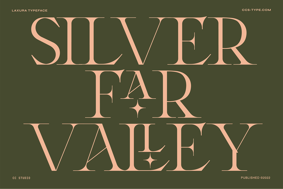 Laxura – Elegant Ligature Serif Font, a Serif Font by CCS Type (Photo 9 of 16)