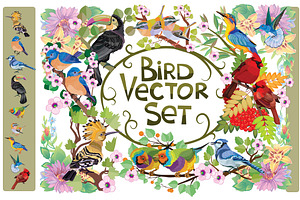 Bird vector set