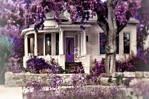 The Purple Door
