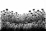 60 Daisy Flower Field Silhouette, a Seasonal Illustration by Amazin_art (Thumbnail 17 of 35)