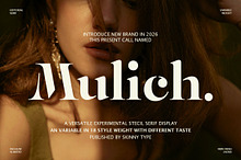 Mulich Serif Display | 18 Fonts