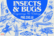 300+ Vintage Insects & Bugs Etchings, a Graphic by Craftsy Crafters (Thumbnail 1 of 8)