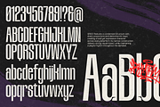 NV GRICO – Condensed Sans Serif Font, a Sans Serif Font by Novaratype (Thumbnail 2 of 14)