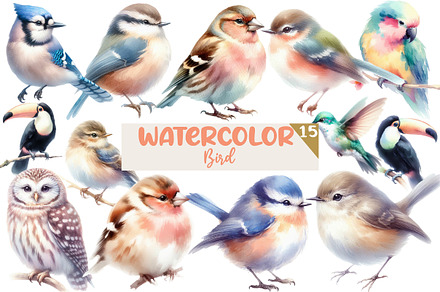 Watercolor Bird clipart, an Illustration by Designworld