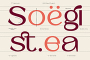 Barium - Luxury Elegant Beauty Sans, a Sans Serif Font by Typia Nesia (Thumbnail 3 of 11)
