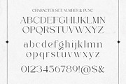 Classy Elegant Serif - Louisbele, a Serif Font by Shakira Studio (Thumbnail 9 of 10)