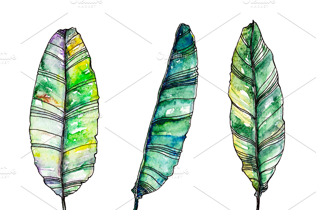 Watercolor palm leaves clipart, an Illustration by Watercolor_Vector Graphic (Photo 4 of 15)