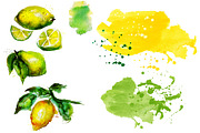 watercolor lemons, a Food Illustration by art_mouse (Thumbnail 2 of 6)