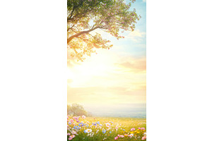 Serene spring meadow at sunrise with, an Illustration by Lermont51