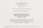 Apothecary Serif Font Collection, a Serif Font by pixelcolours (Thumbnail 11 of 14)