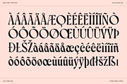 Belvare - Retro Aesthetic Serif, a Serif Font by CCS Type (Thumbnail 21 of 22)