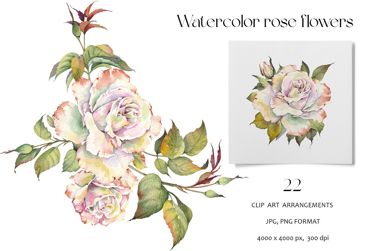Romantic Watercolor Rose Clipart, a Decorative Illustration by Jeanna Draw (Photo 2 of 17)