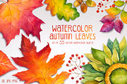 Autumn leaves. Watercolor set., a Decorative Illustration by AlexGreenArt (Thumbnail 1 of 11)