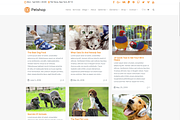 Petshop & Pet Care WordPress Theme, a WordPress Template by Visualmodo (Thumbnail 14 of 30)