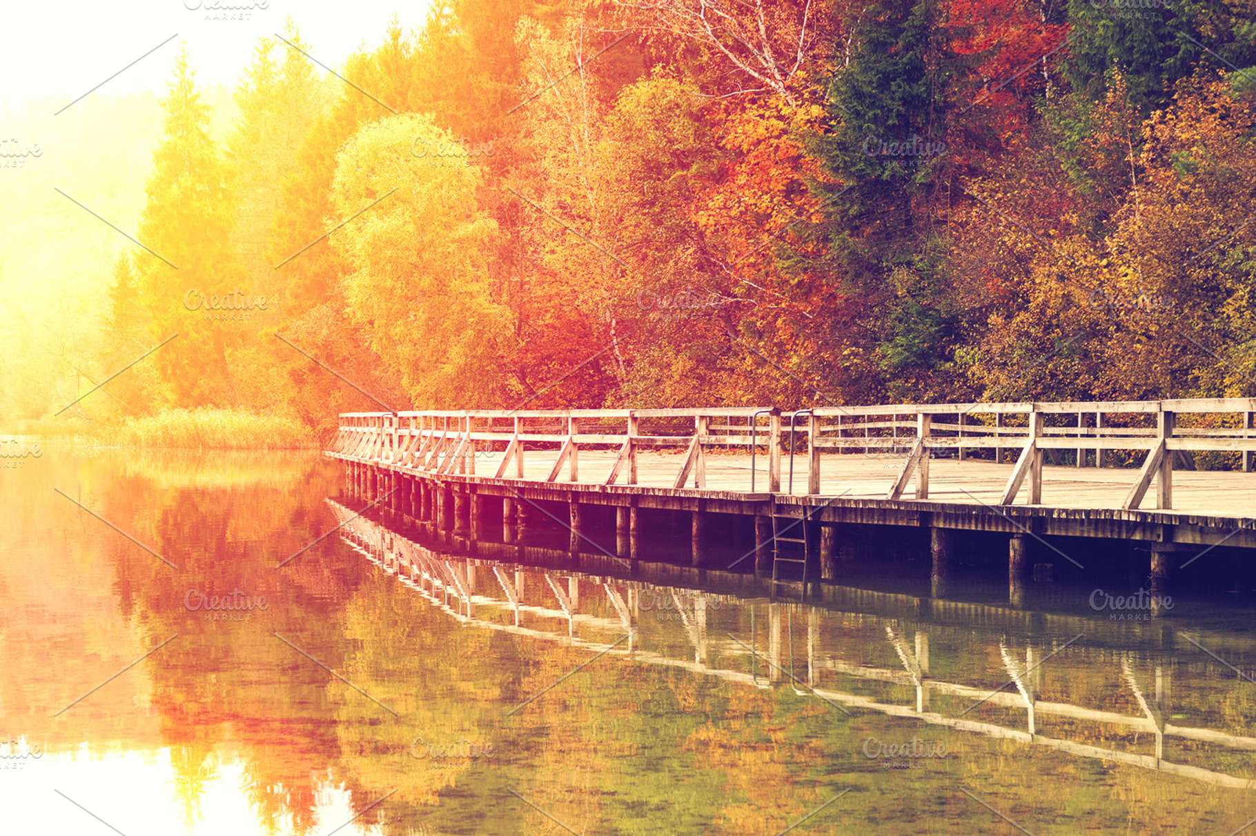 Colorful autumn landscape, a Nature Photo by BOOCYS
