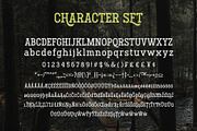 Hodgeson, a Slab Serif Font by Arterfak Project (Thumbnail 8 of 11)