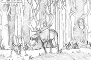 My Forest, an Animal Illustration by YuliaBiser (Thumbnail 2 of 5)