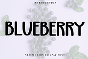 Blueberry, a Handwritten Font by FreshTypeINK (Thumbnail 1 of 8)