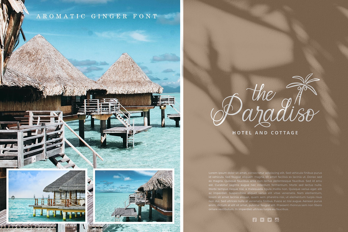 Aromatic Ginger, a Script Font by Java pep (Photo 10 of 14)