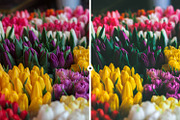 9 Nature Lightroom Presets, an Action Add-On by M E G A S E T S (Thumbnail 4 of 5)