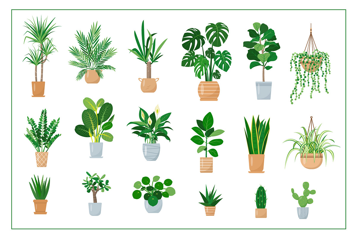 Home plants in cozy interiors, an Illustration by Elena Istomina (Photo 2 of 10)