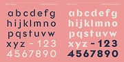 Briery, a Sans Serif Font by HeadFirst (Thumbnail 4 of 18)