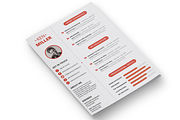 Minimal Resume Set in 6 Variations, a Resume Template by PremiumCoding (Thumbnail 4 of 5)