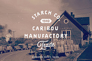 Americus Script & Sans, a Script Font by Andrey Sharonov (Thumbnail 6 of 10)
