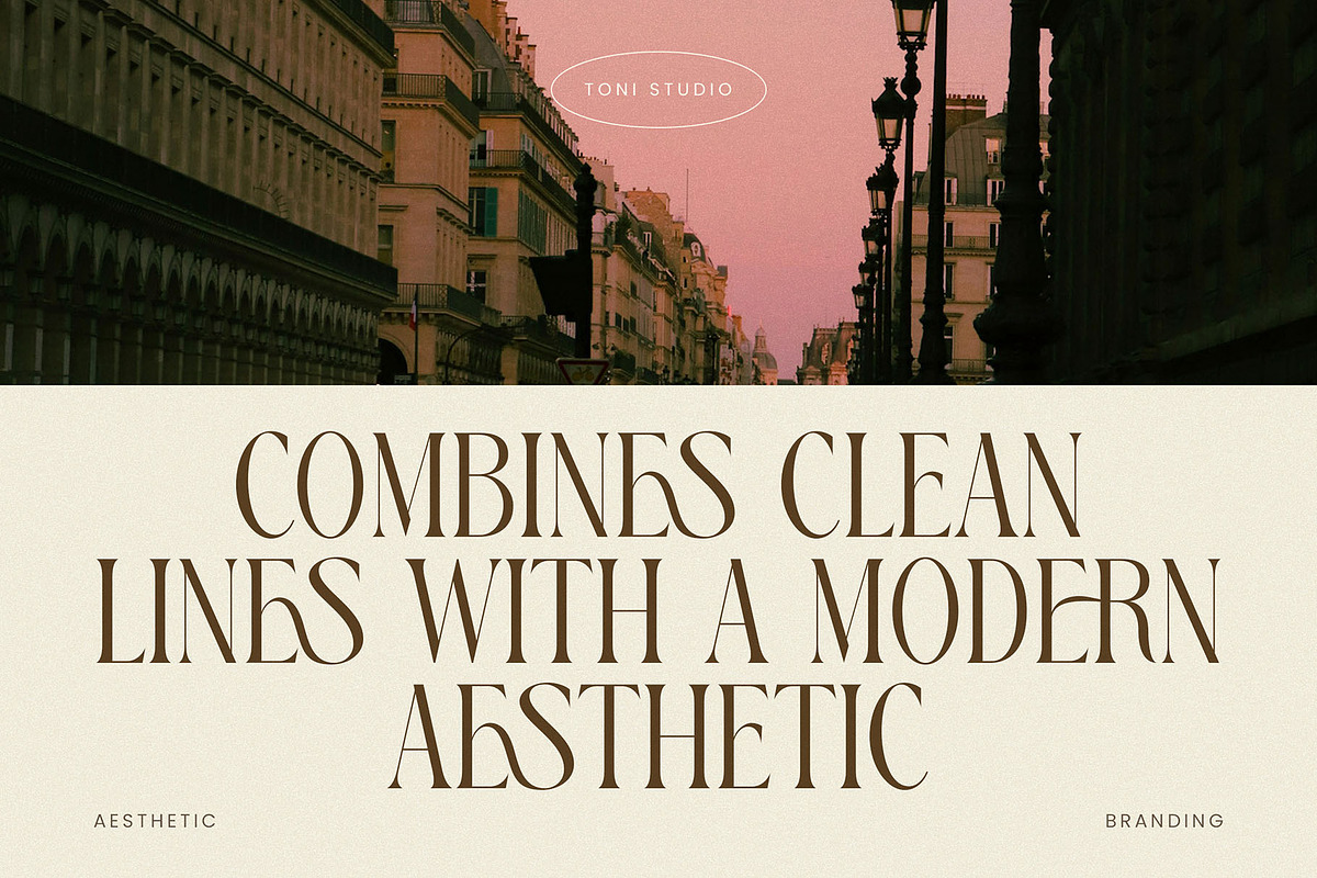 FRISTA || modern ligature, a Serif Font by ToniStudio (Photo 3 of 12)