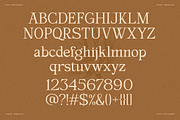 Magilla - Serif Font, a Serif Font by Dora Typefoundry (Thumbnail 17 of 19)