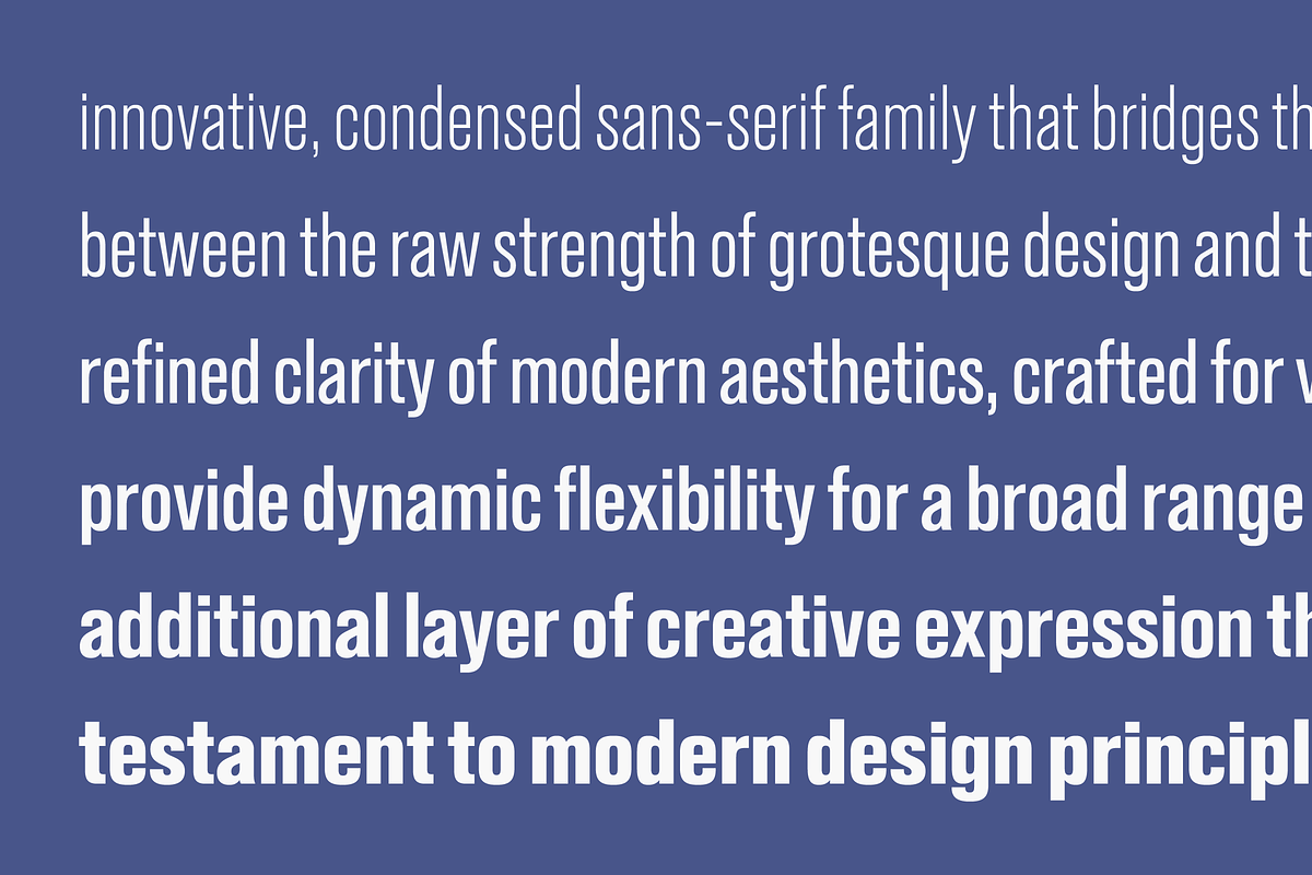Konvex Grotesque Pro Typeface, a Sans Serif Font by BigBold Type (Photo 11 of 20)
