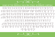 Fratello Nick Total Collection, a Font by Debi Sementelli (Thumbnail 12 of 13)