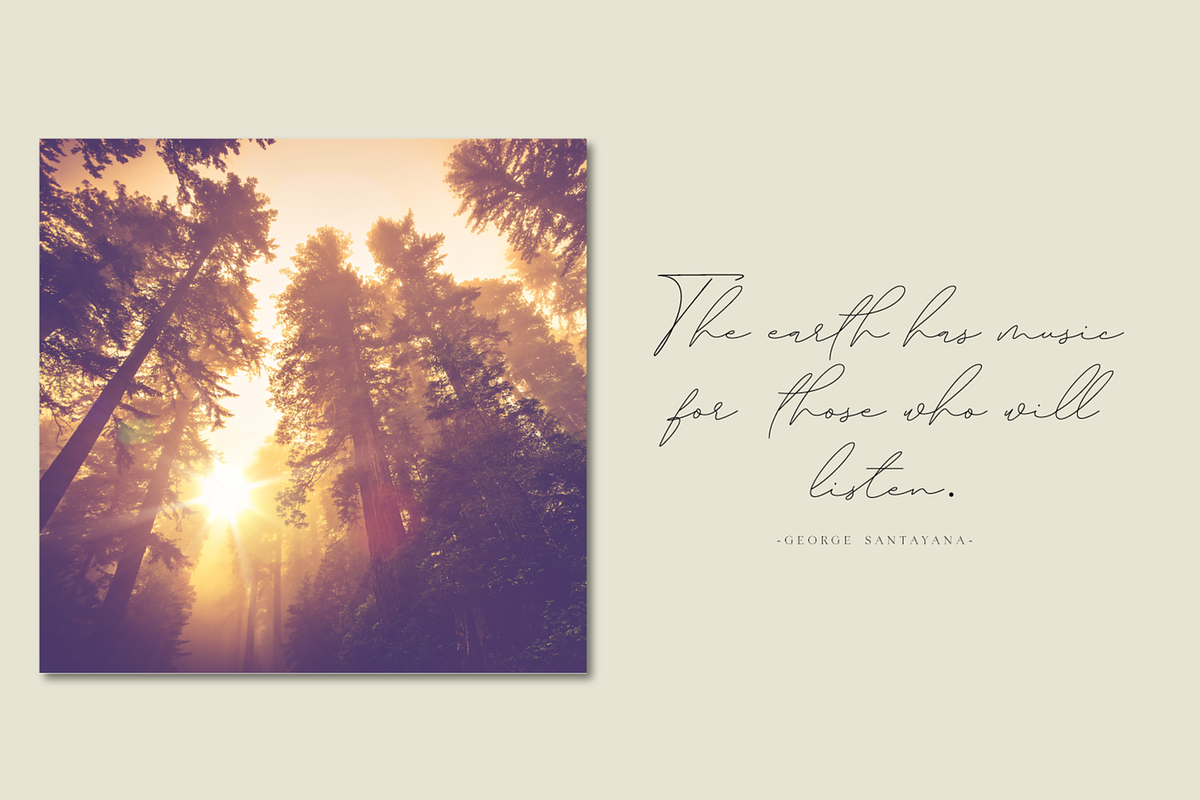 Redmarch, a Script Font by BaronWNM (Photo 7 of 9)
