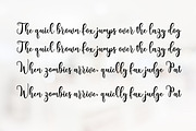 Baverly Script, a Script Font by Amarlettering (Thumbnail 7 of 8)