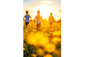 Children playing in sunny wildflower, a Nature Photo by Lermont51