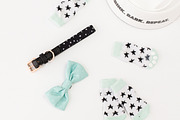 Dog Mama Stock Photo Bundle, an Animal Photo by Savvy Stock Shop (Thumbnail 4 of 8)