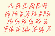 Hidden Chills Bold Brush Font, a Script Font by stylishtype.co (Thumbnail 16 of 19)