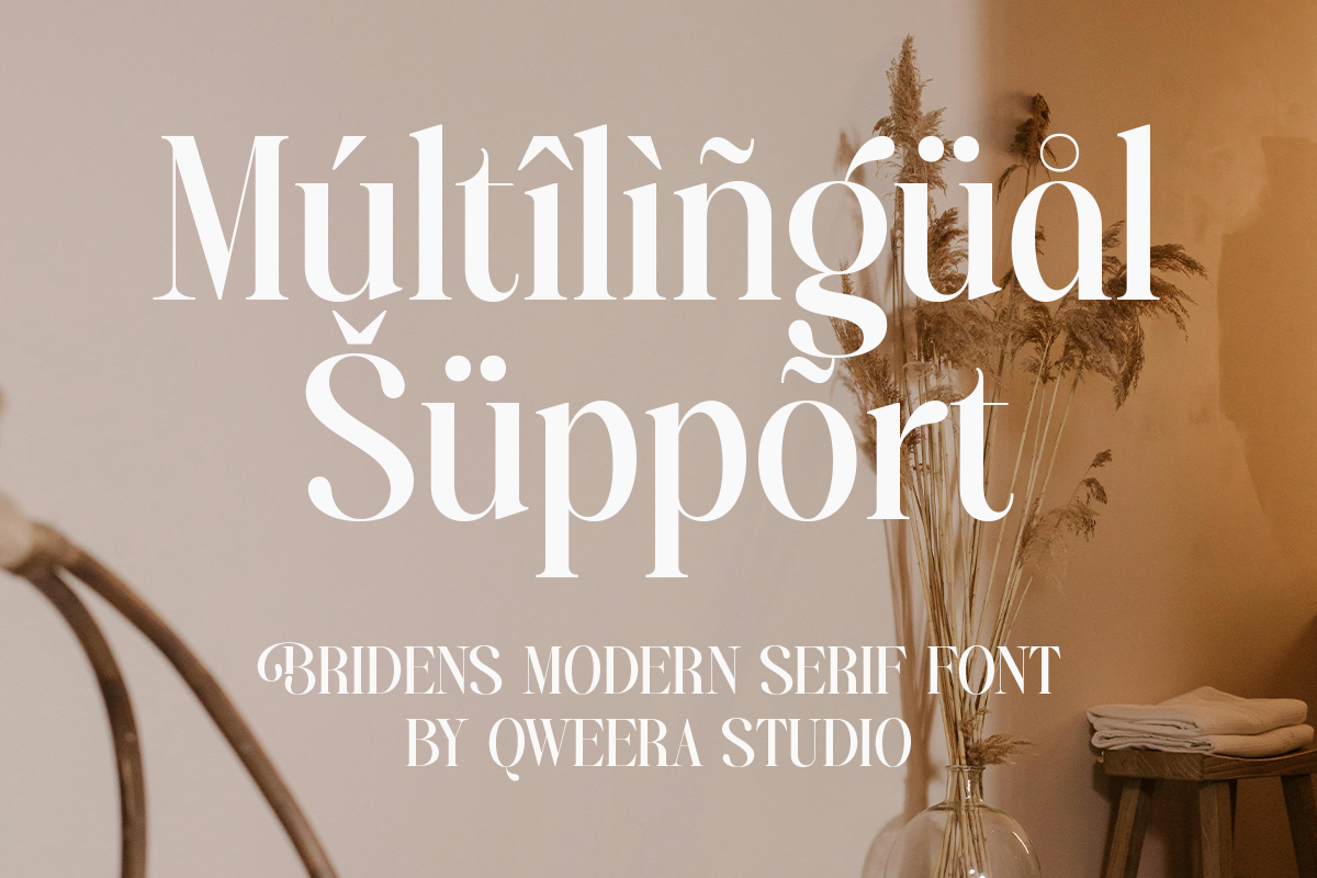 Bridens - Modern Serif Display, a Serif Font by Qweera Studio (Photo 10 of 10)