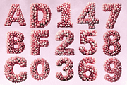 Pink Tulip Alphabet Sublimation Clip, a Decorative Illustration by Dizzy Art Studio (Thumbnail 2 of 2)