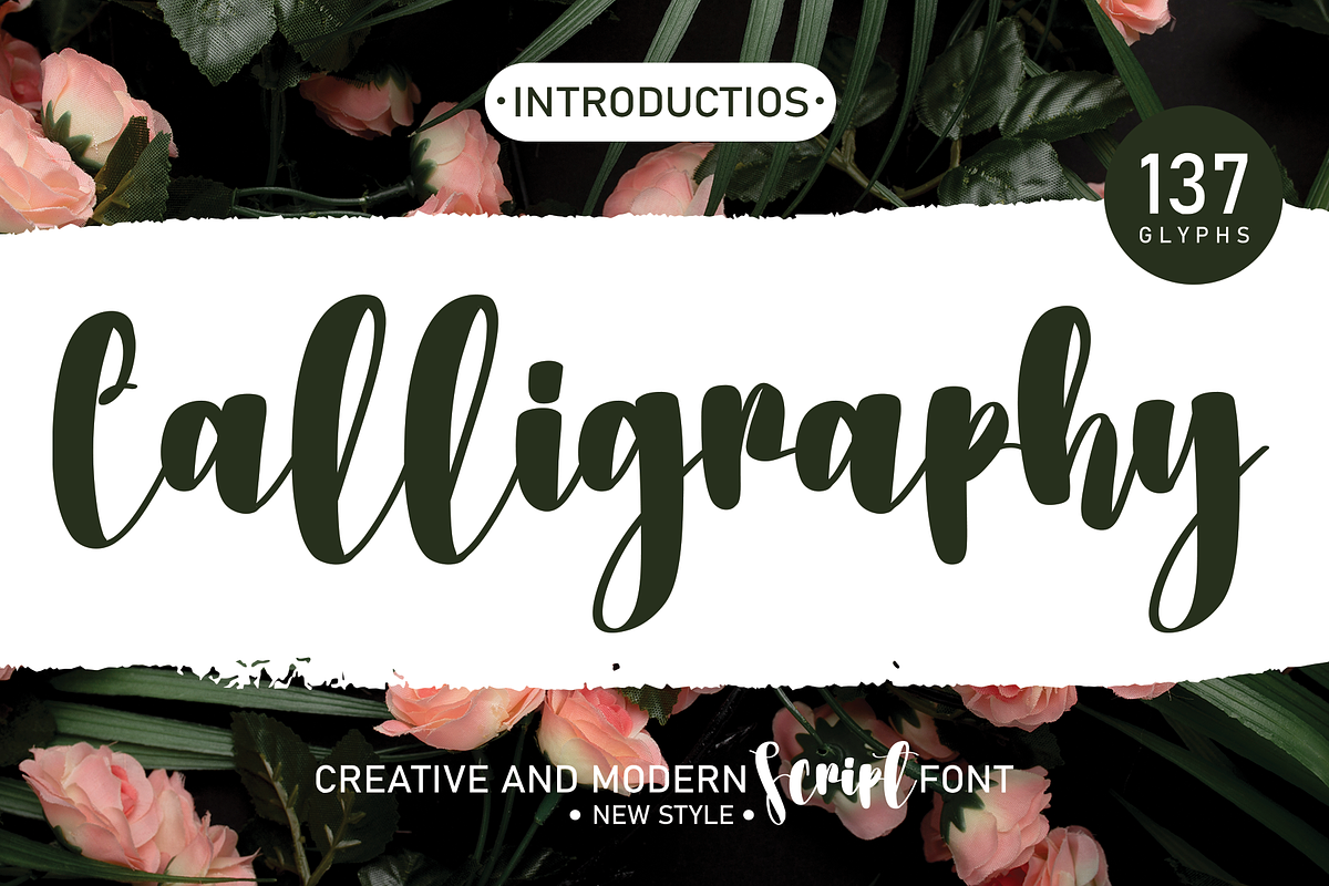 Beautifull Mega Bundles Font, a Script Font by Scratchones (Photo 6 of 25)