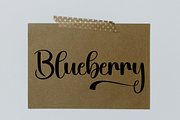 Sherilyn, a Handwritten Font by FreshTypeINK (Thumbnail 6 of 8)